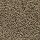 Mohawk Carpet: Soft Appeal II Leather